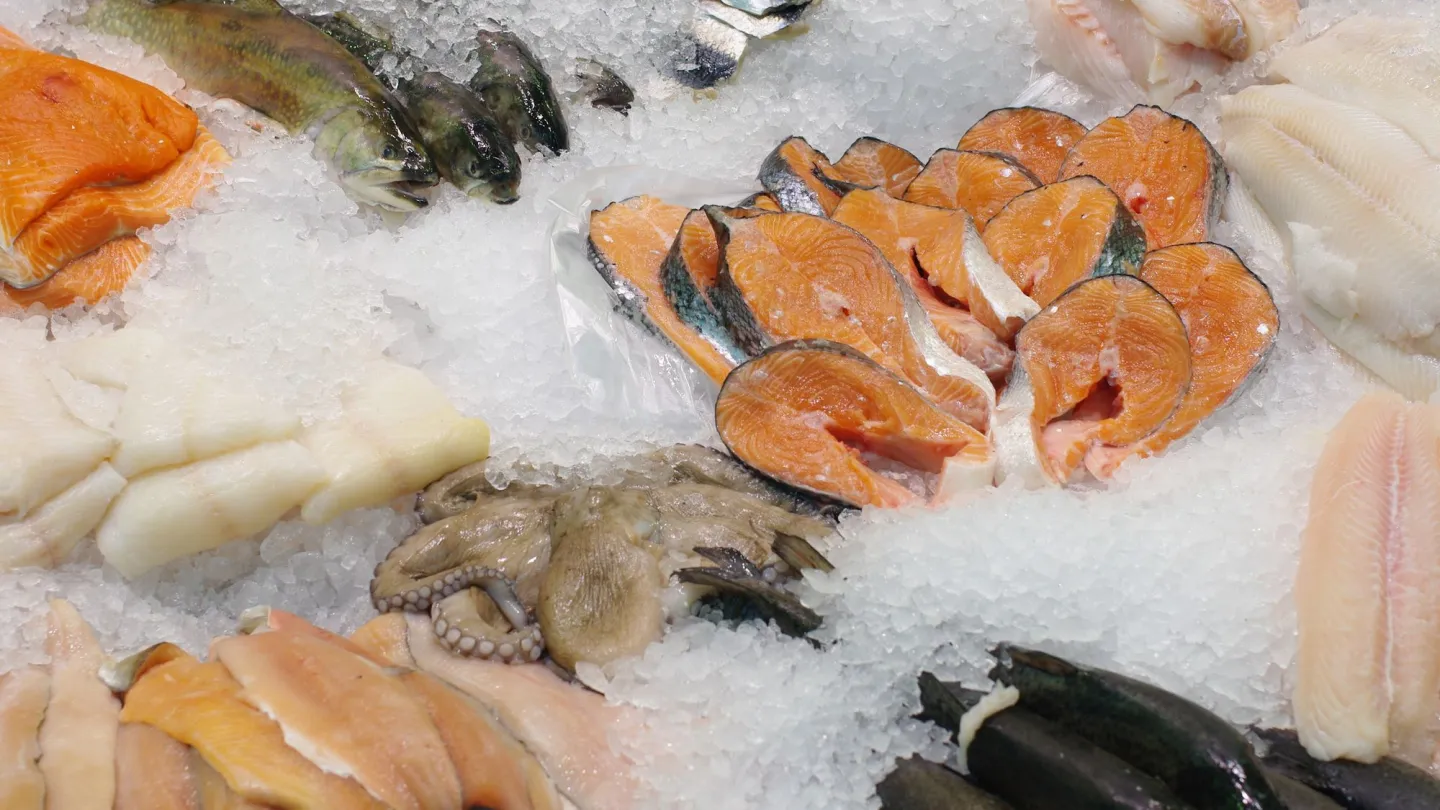 comptoir de poisson au supermarché