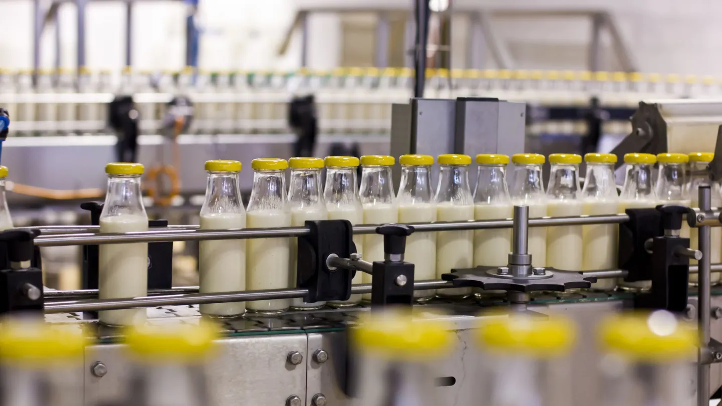 Milch in der Abfüllmaschine