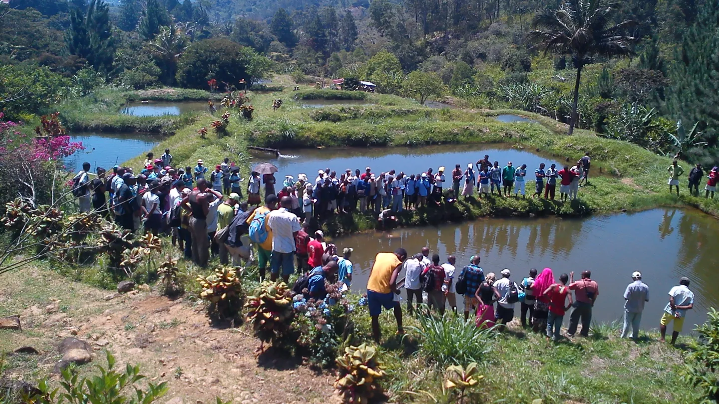 Fischteiche in Madagaskar