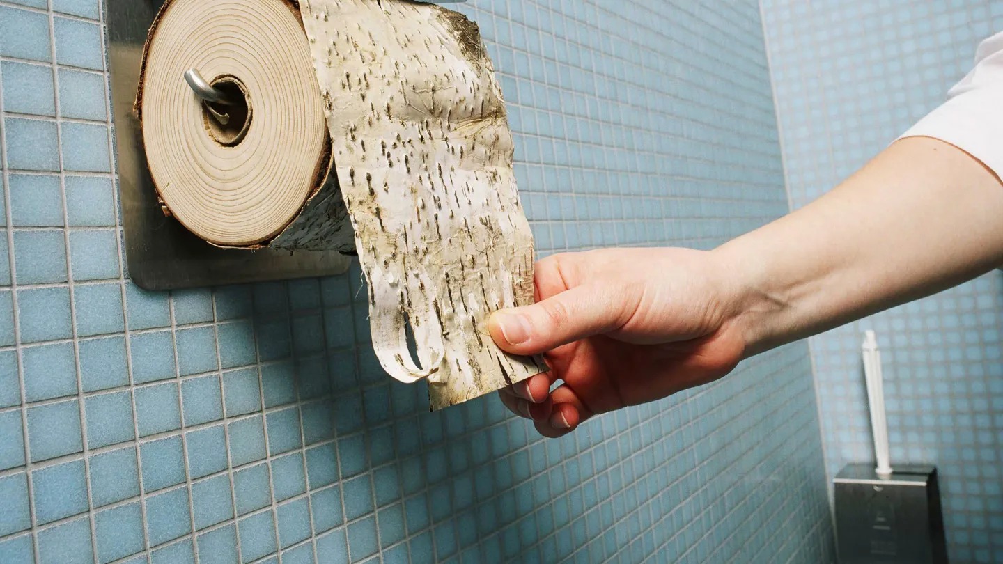 Papier toilette Rouleau de bouleau symbolise la consommation de papier