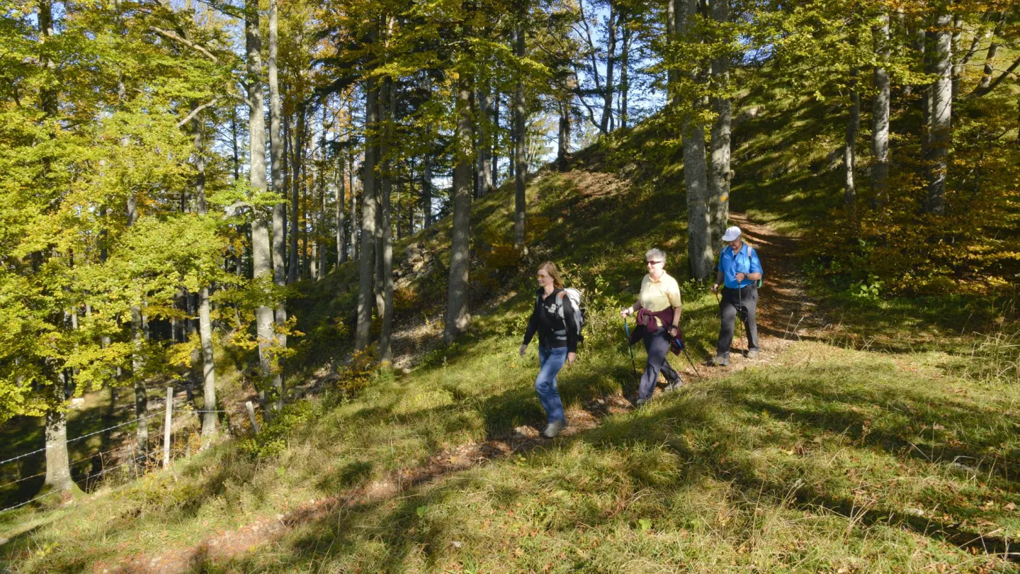 Randonneurs à Vogelsberg dans le Jura, Suisse