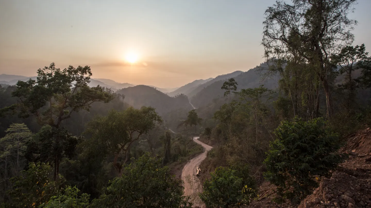 Strasse durch den Wald an der Grenze von Myanmar und Thailand