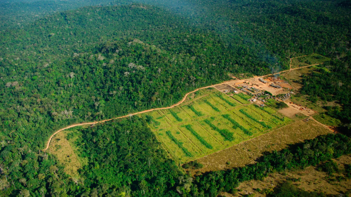 Eine Holzfabrik in Brasilien