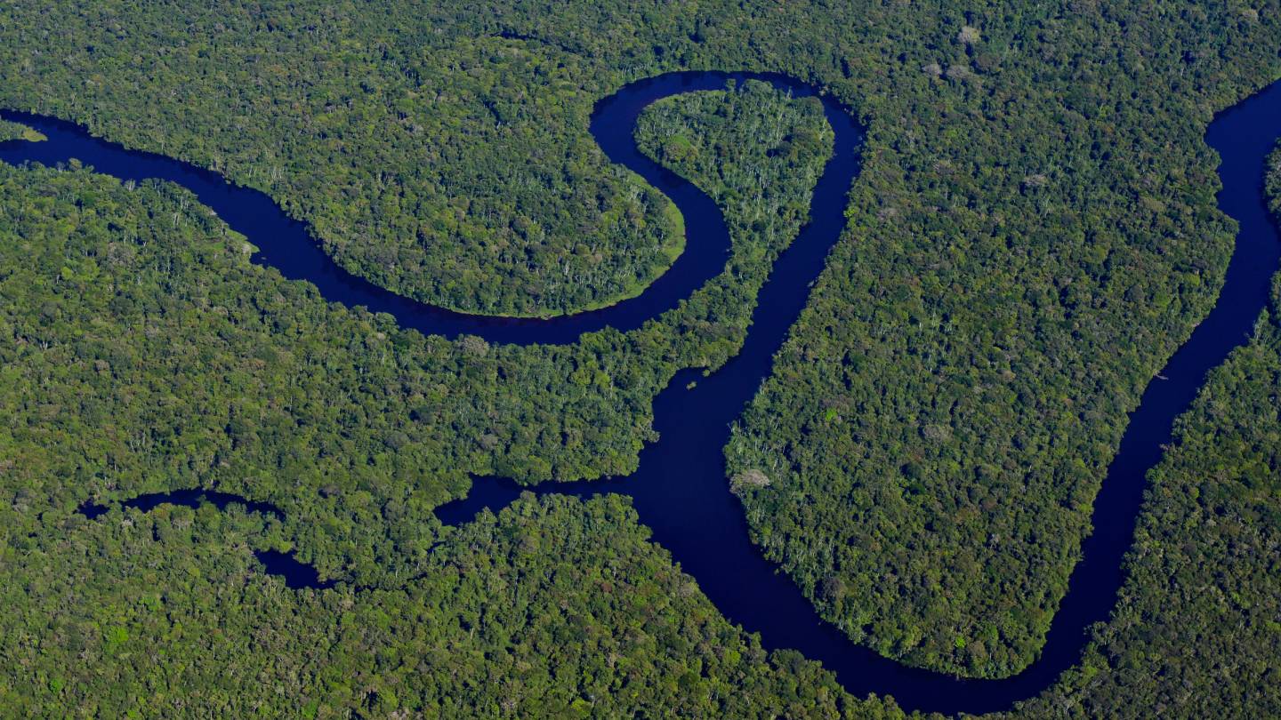 Vue aérienne de l'Amazone