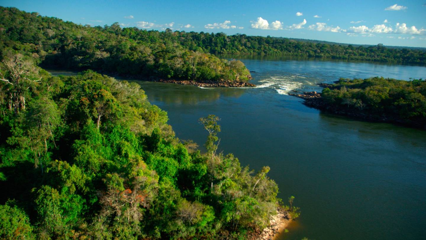 Vue aérienne de la rivière Juruena dans le parc national Juruena, Brésil