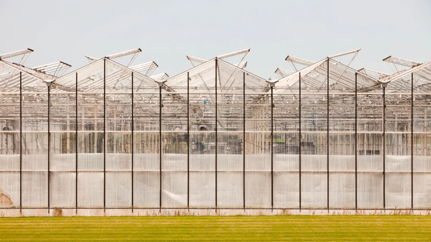 Greenhouses dans le Lancashire, en Angleterre.