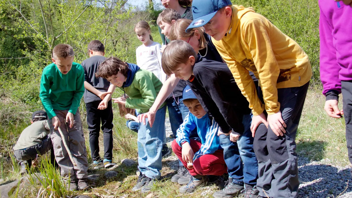 Les enfants explorent le camp « naturaliste » sous la direction de la nature