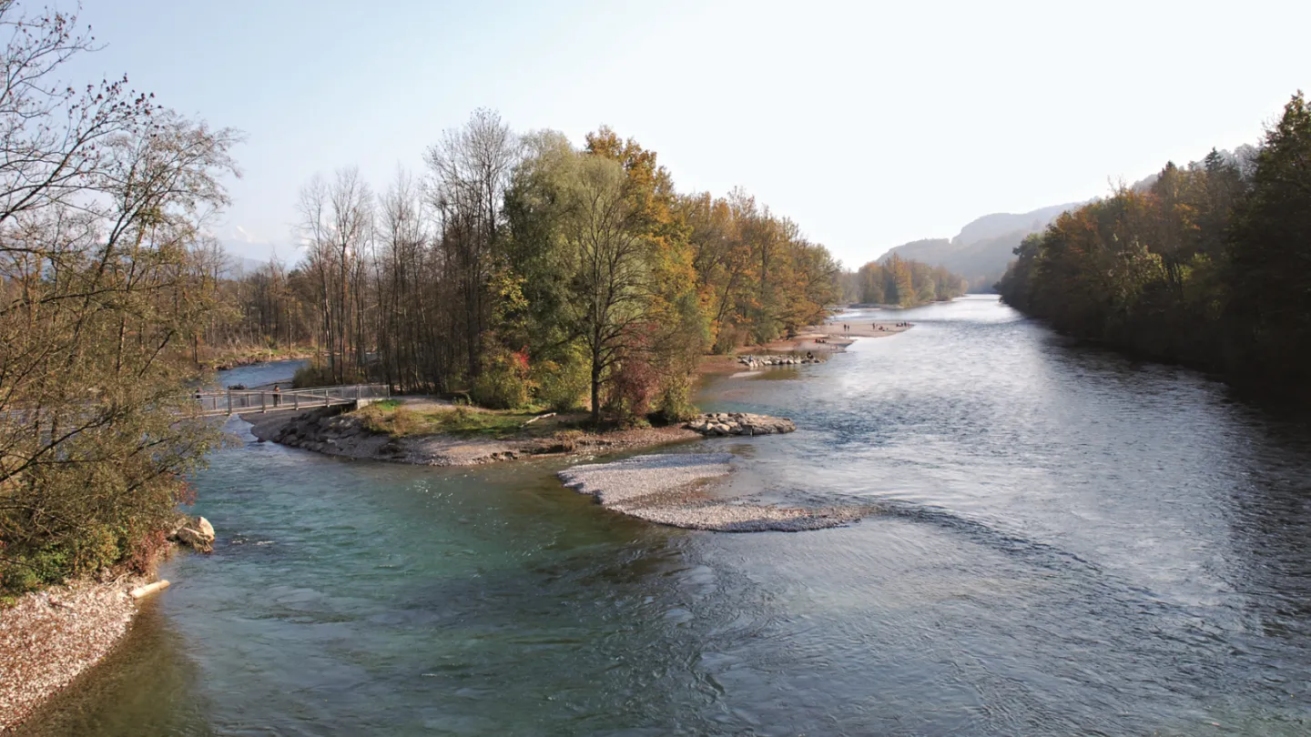 Renaturierung eines Schweizer Flusses