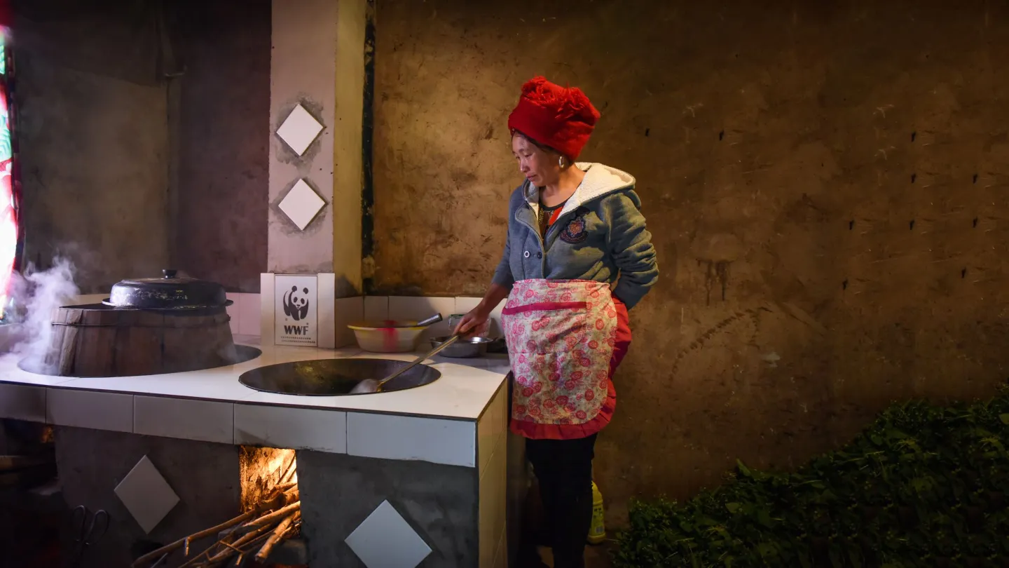 Donna con forno CO2 in Cina