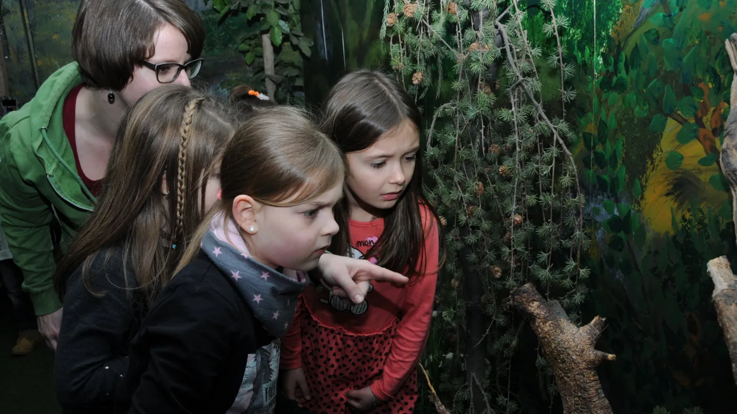 Bambini in Panda mobile