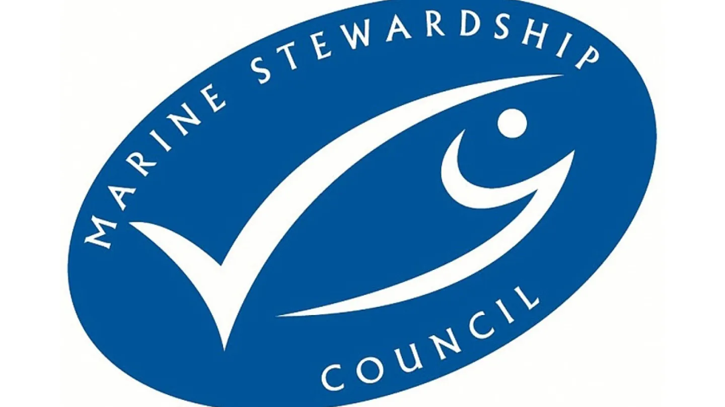 logo MSC