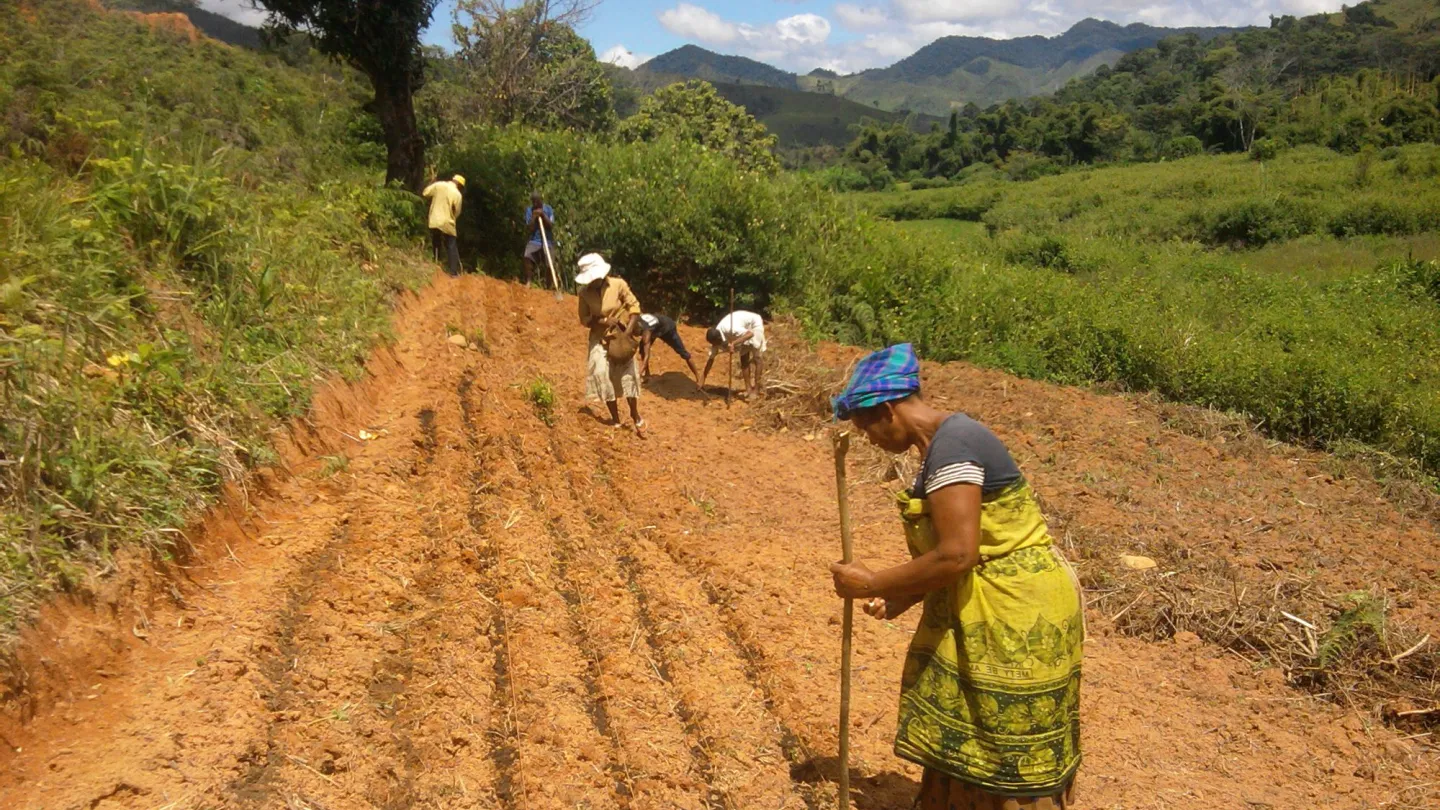Les agriculteurs sont formés dans le travail sur le terrain par les employés du WWF