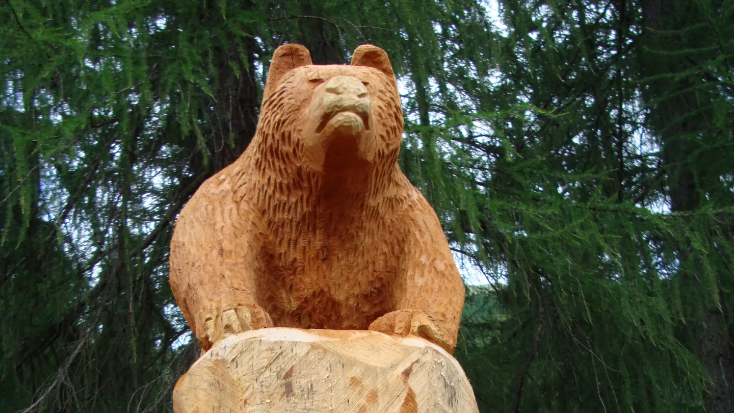Orso Trail nella Val Müstair