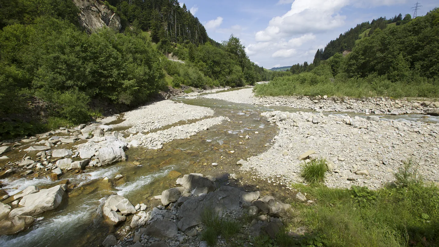 Allegato in un fiume svizzero