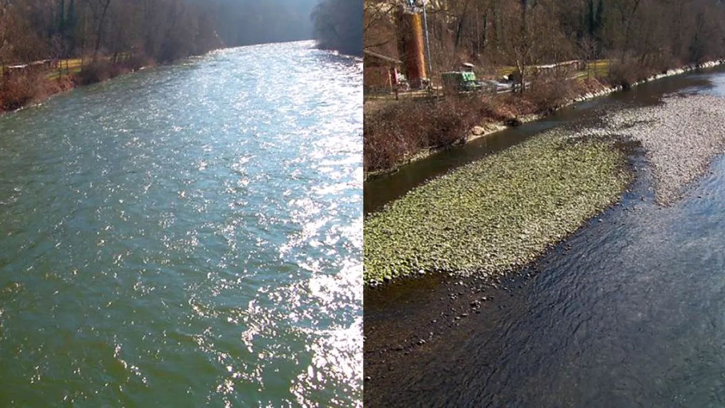 Schwall (a sinistra, 150 m3 / s) e affondato (16 m3 / s)