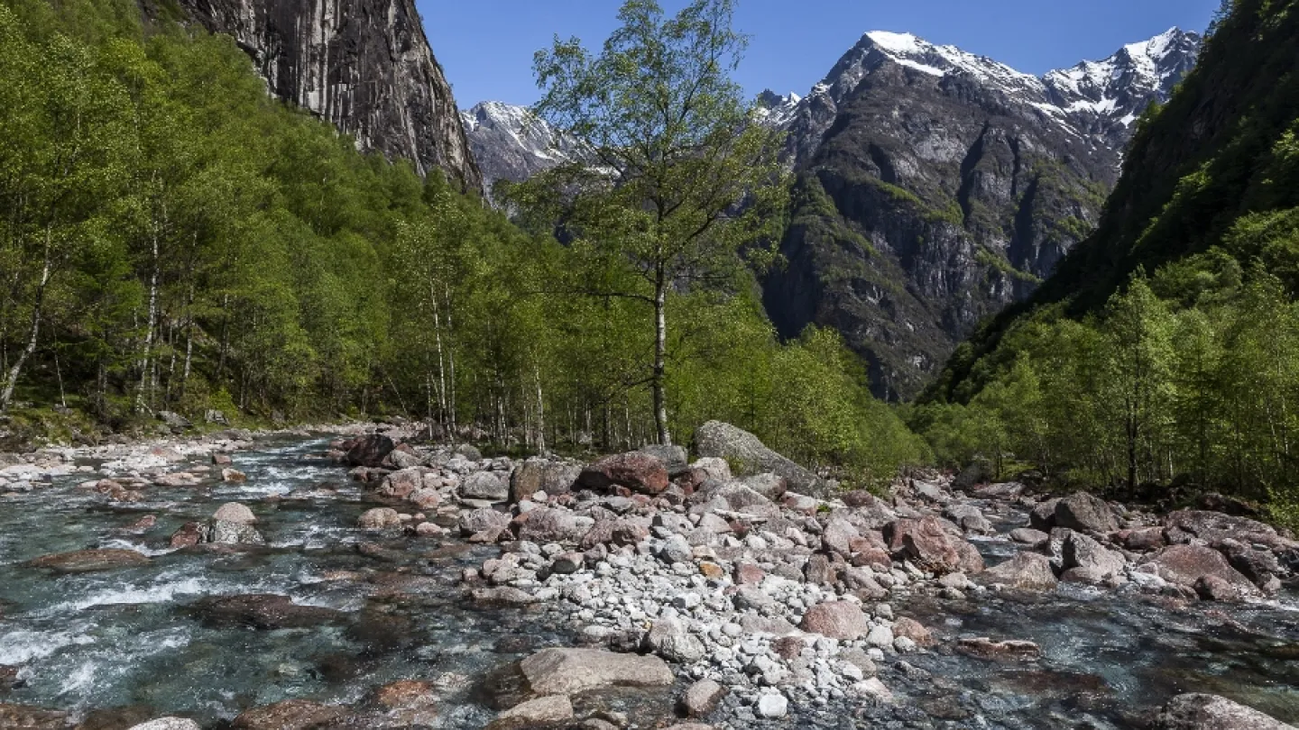 eaux précieuses en Suisse: Calnègia