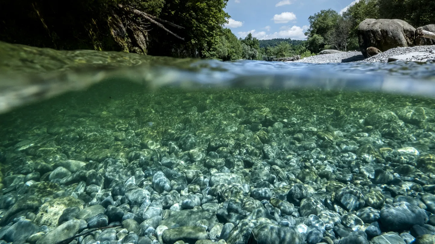 eaux précieuses en Suisse: Sense