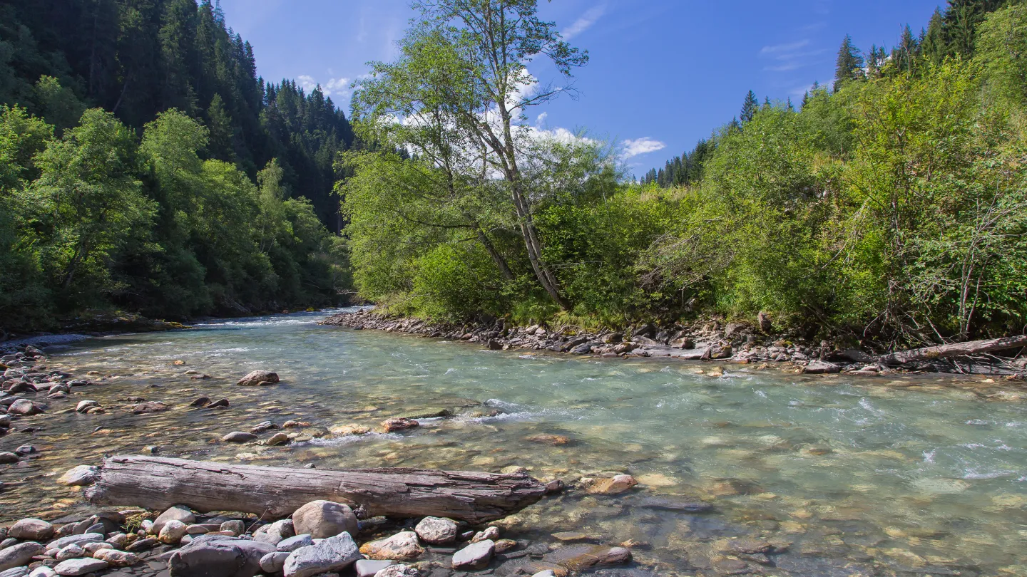 Wertvolle Gewässer in der Schweiz: Glenner