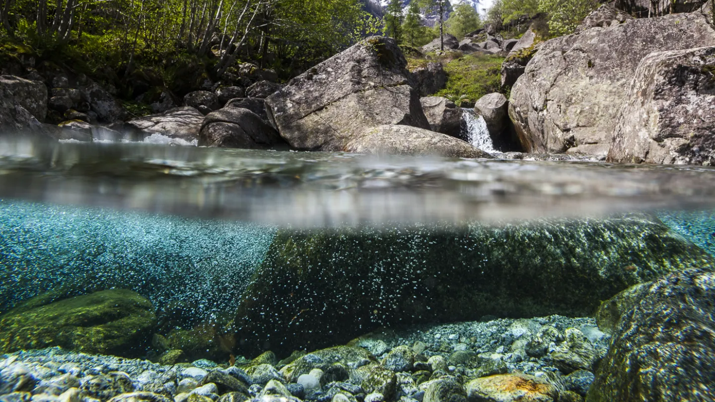 Schweizer Fluss Fiume Calnegia