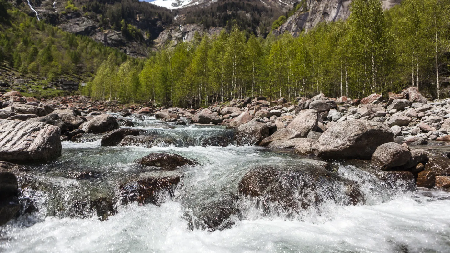 Schweizer Fluss Fiume Calnegia