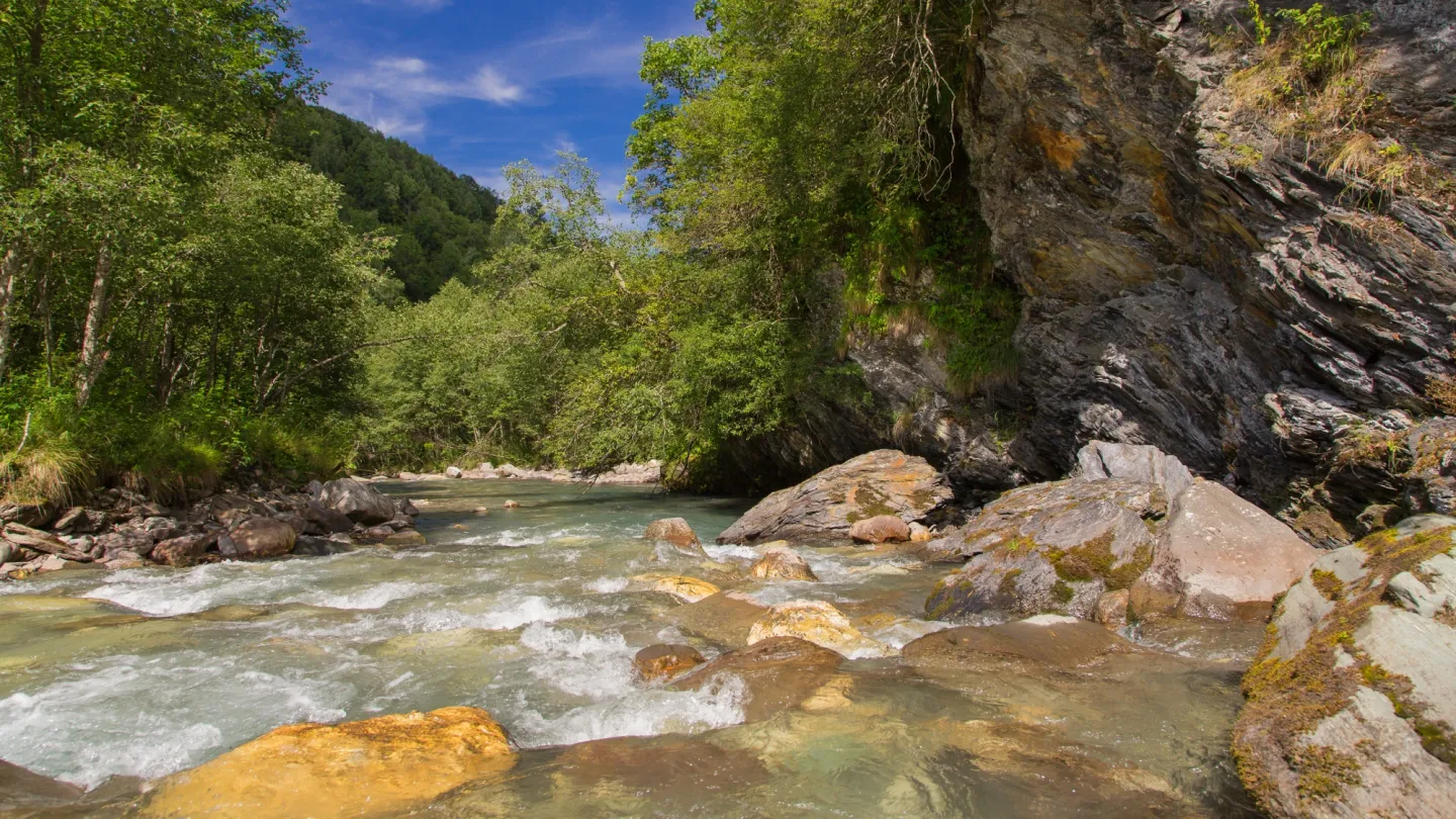 Schweizer Fluss Glenner