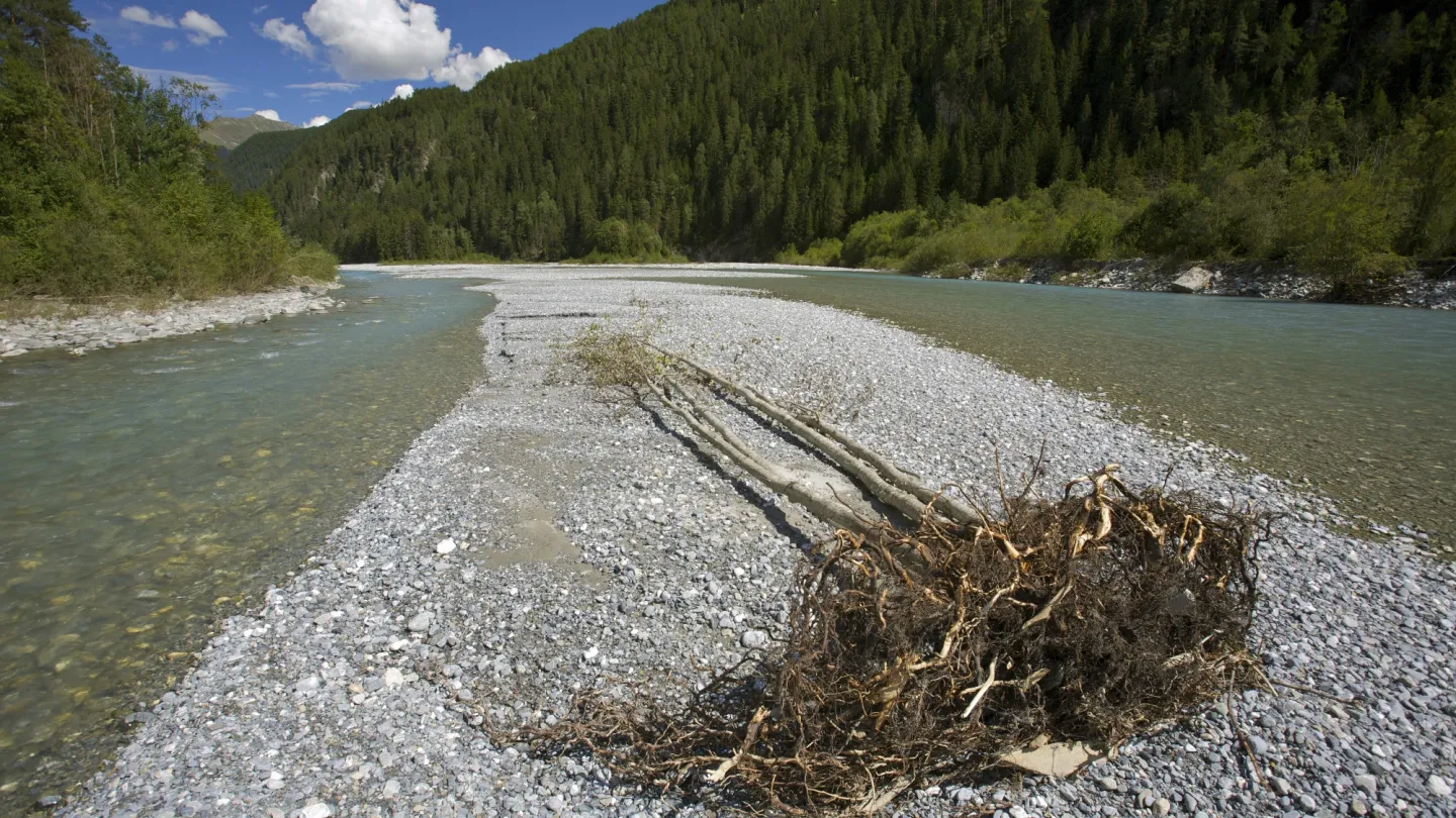 Schweizer Fluss Inn