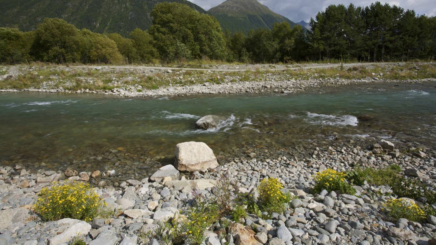 Schweizer Fluss Inn
