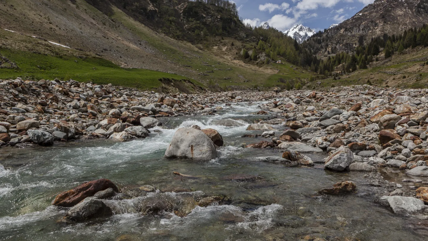 Schweizer Fluss Meienreuss
