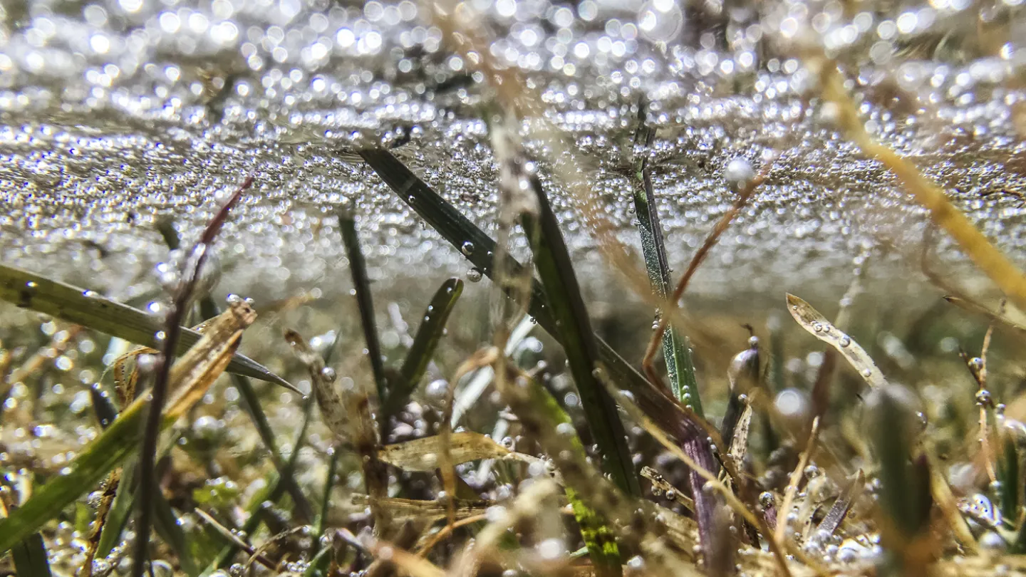 Schweizer Fluss Meienreuss