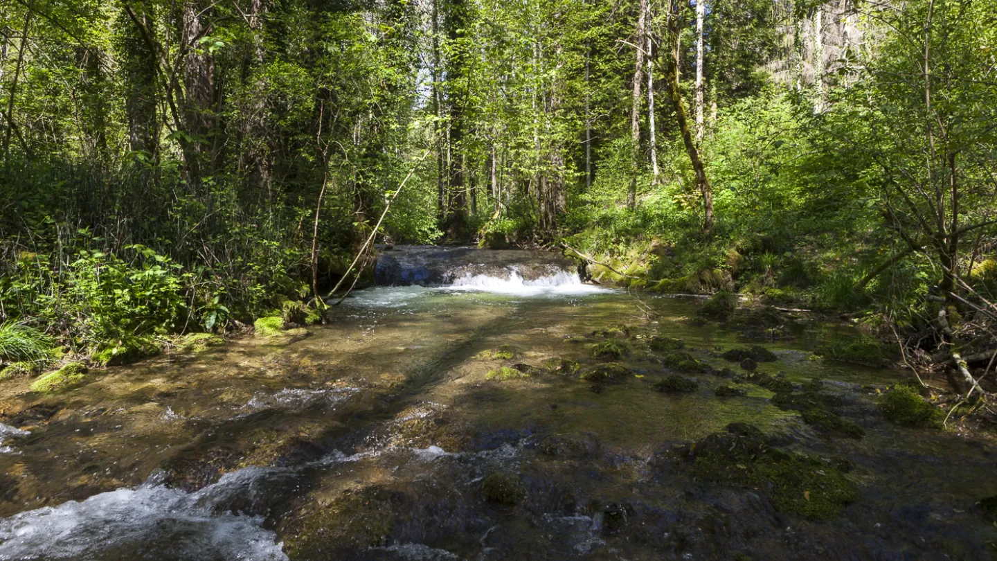 Schweizer Fluss Nozon