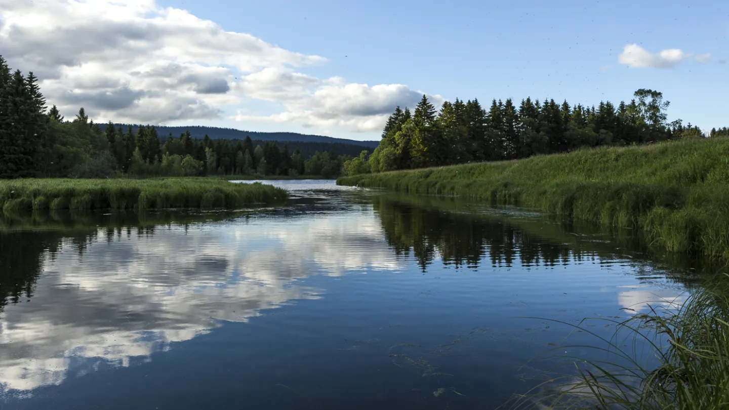 Schweizer Fluss Orbe