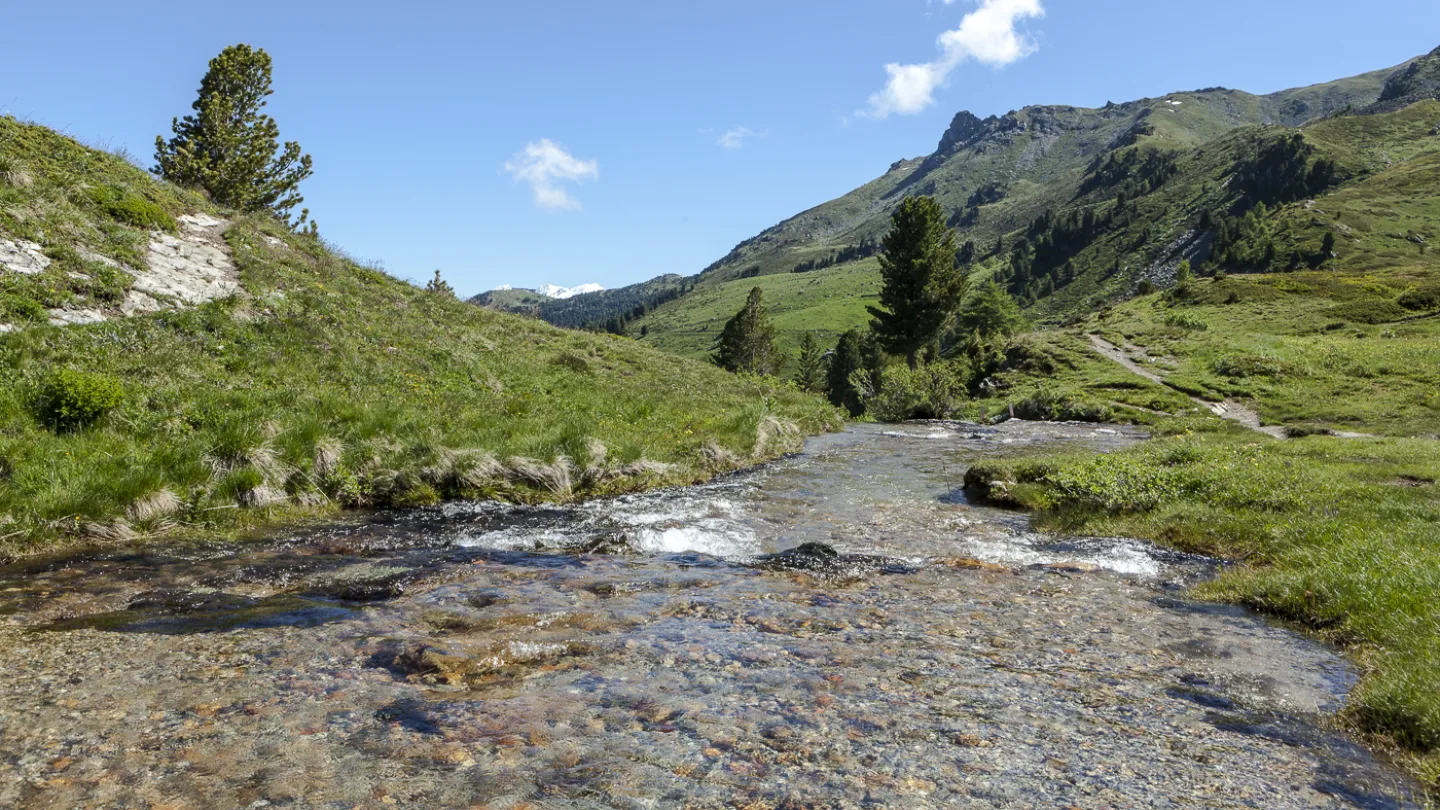 Schweizer Fluss Rèche