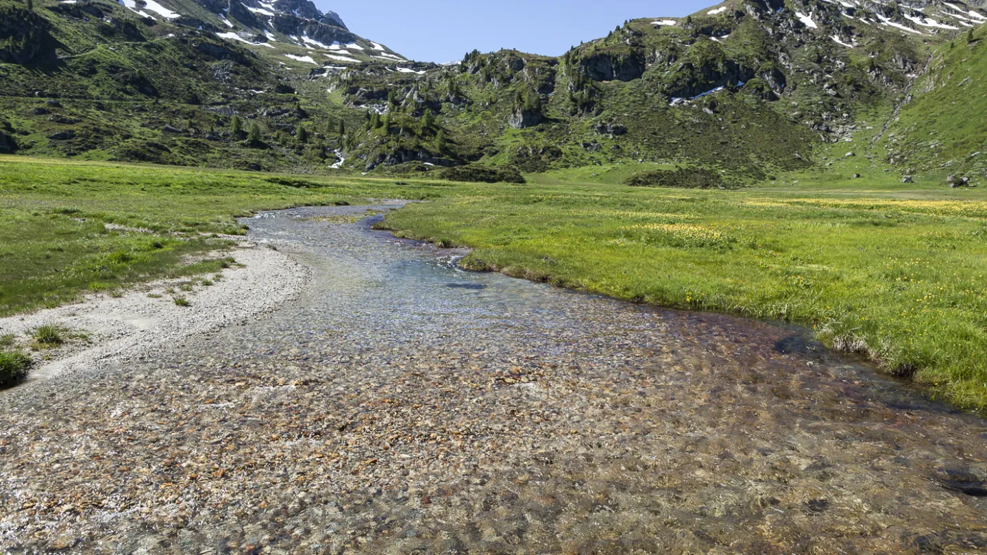 Schweizer Fluss Rèche