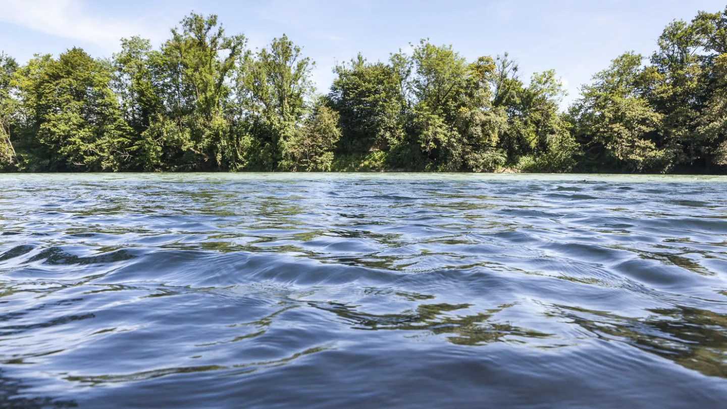 Schweizer Fluss Reuss