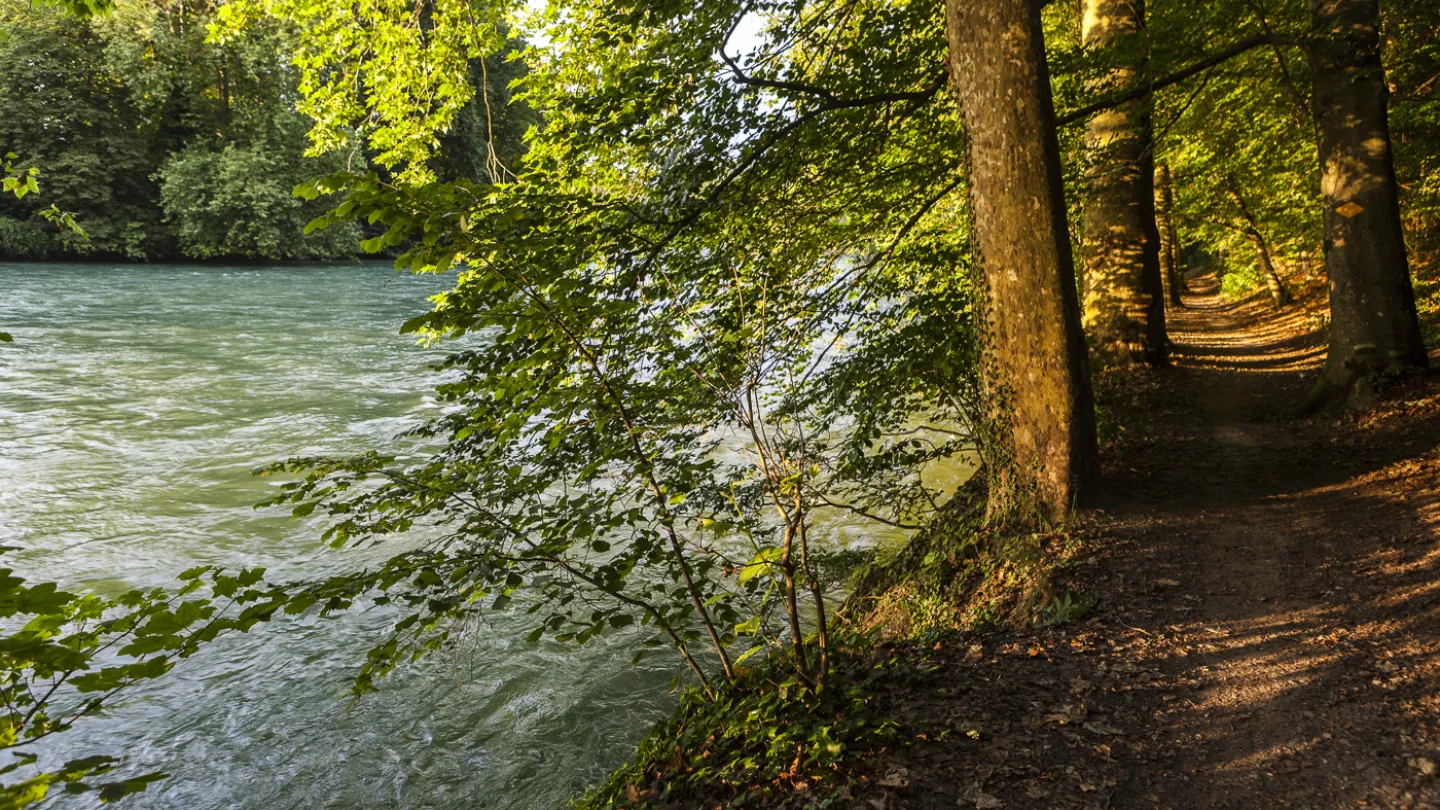 Schweizer Fluss Reuss