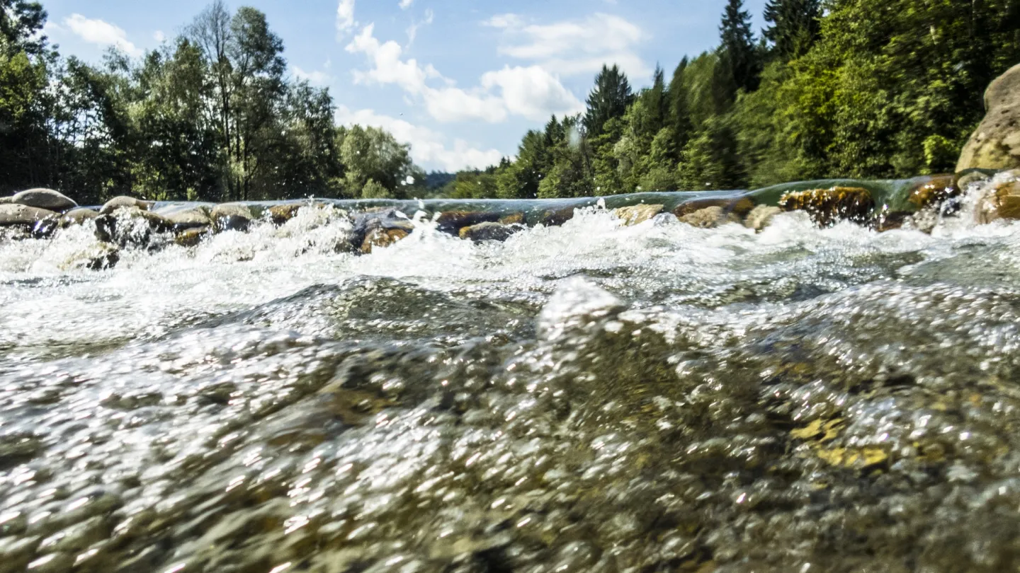 Schweizer Fluss Sense