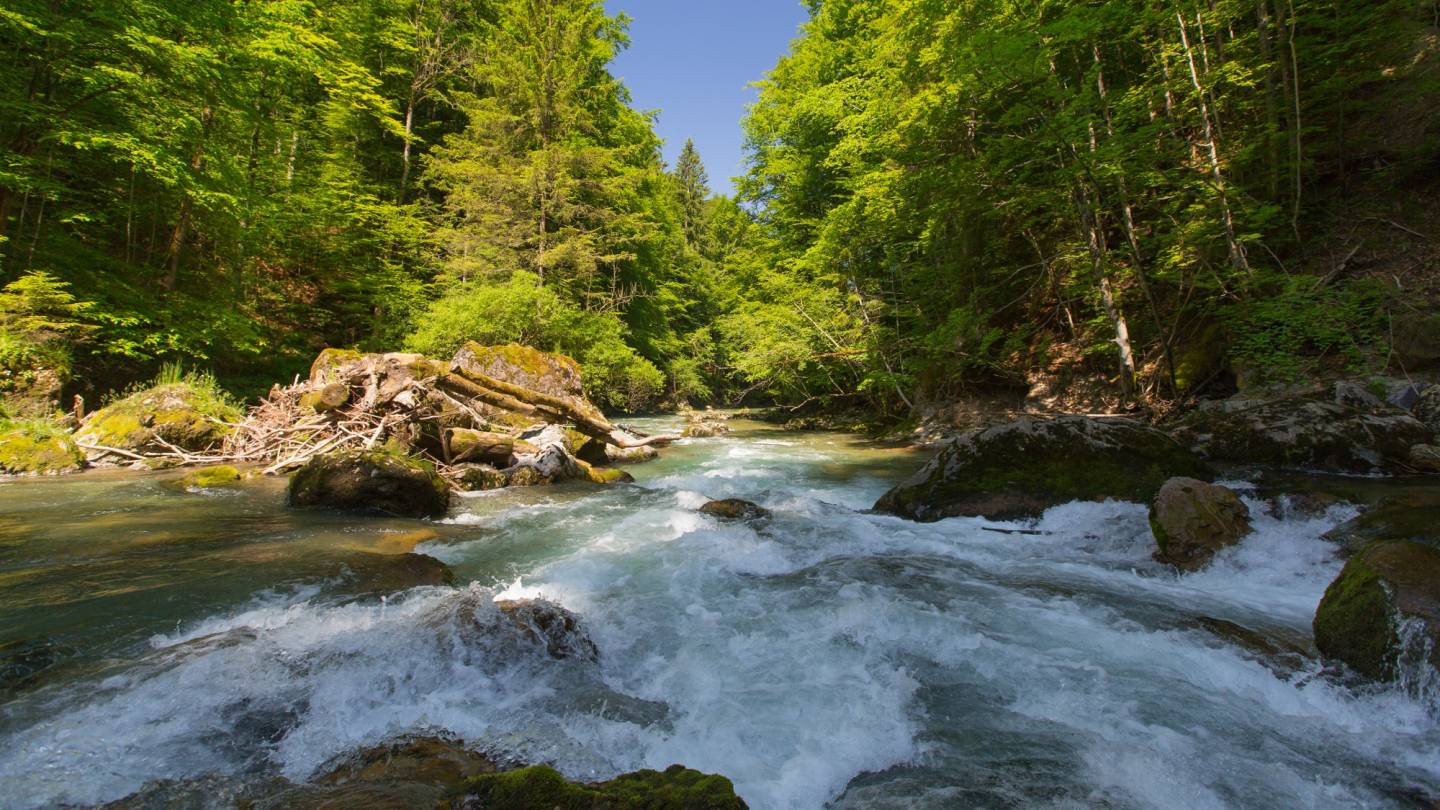 Schweizer Fluss Thur
