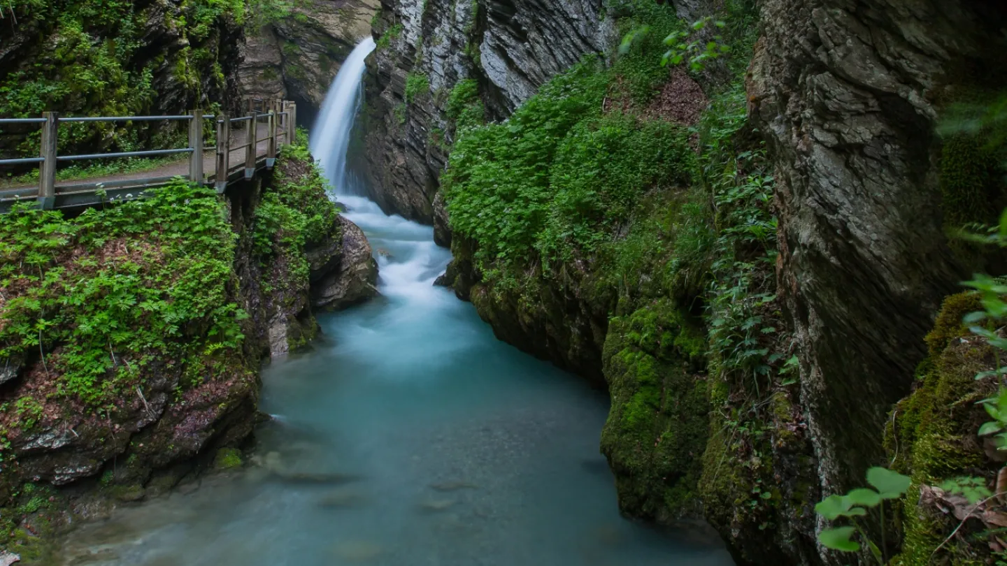 Schweizer Fluss Thur