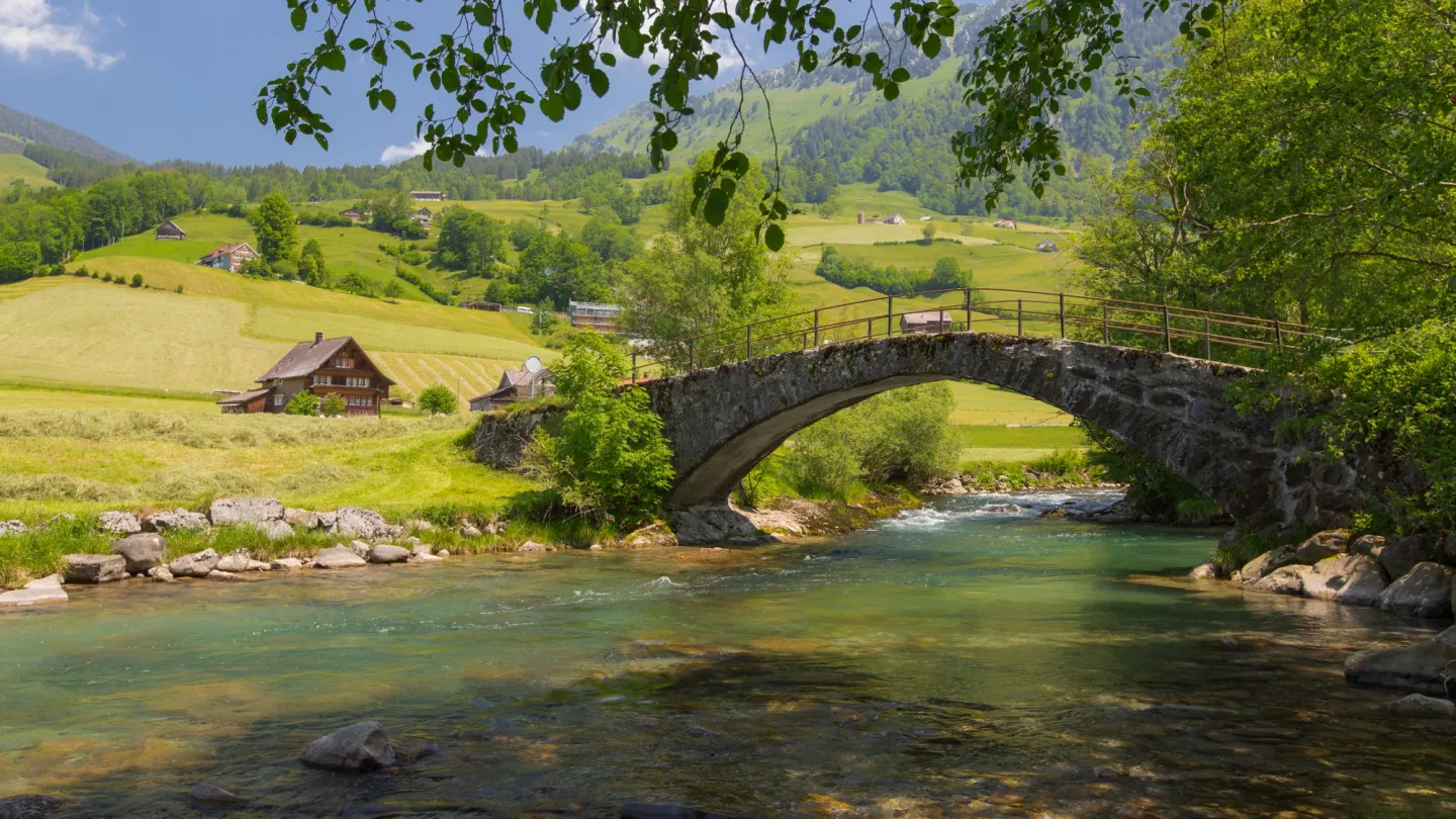 Schweizer Fluss Thur