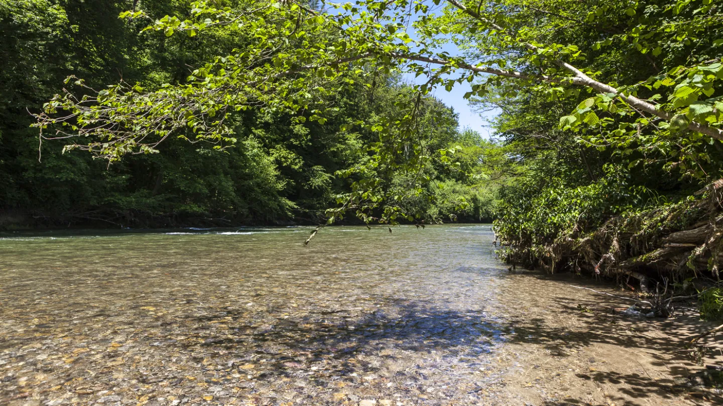 Schweizer Fluss Töss
