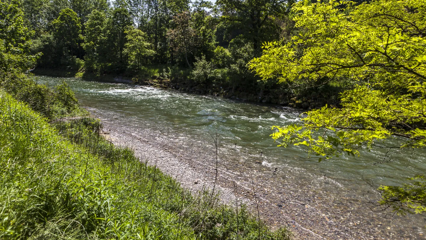 Schweizer Fluss Töss