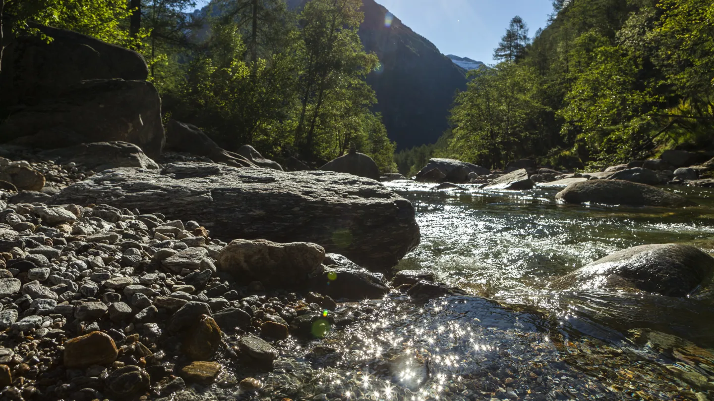 Schweizer Fluss Verzasca