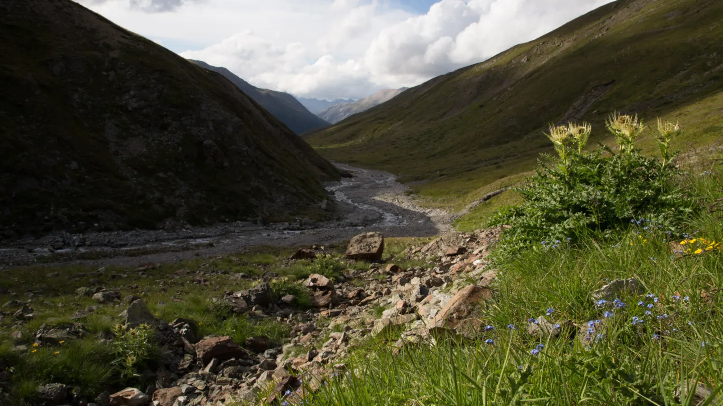 Schweizer Fluss Chamuera