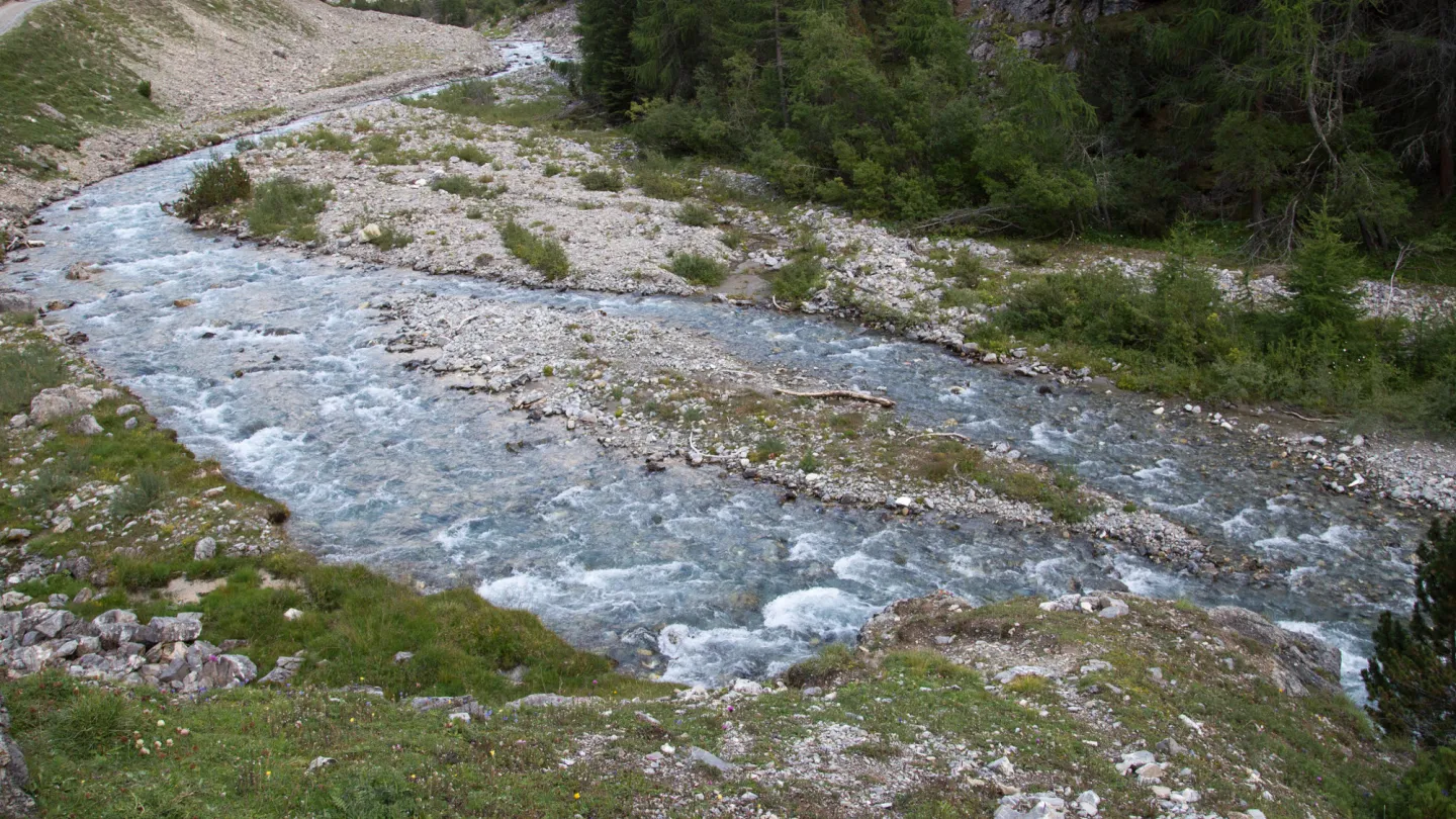 Schweizer Fluss Chamuera