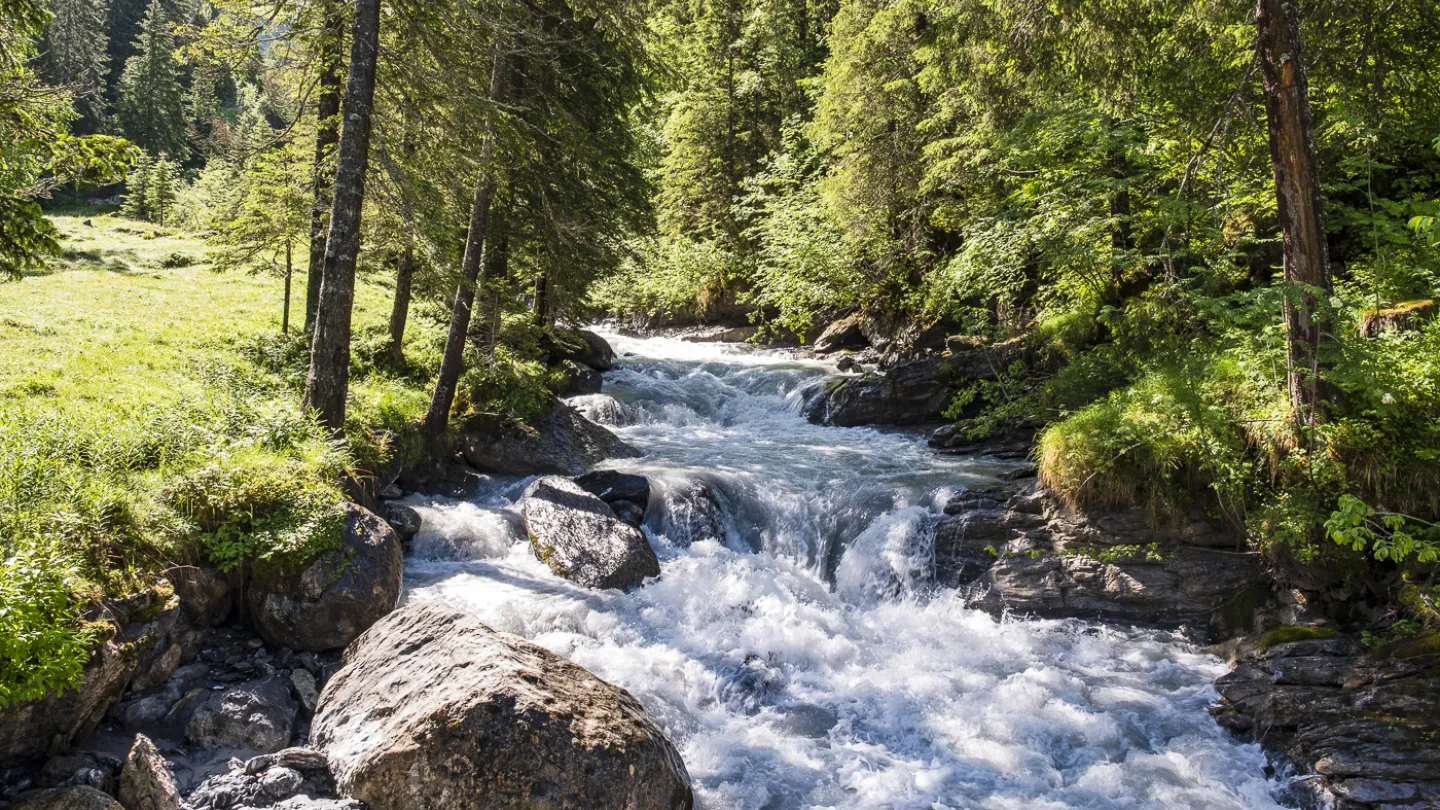 Schweizer Fluss Chiene