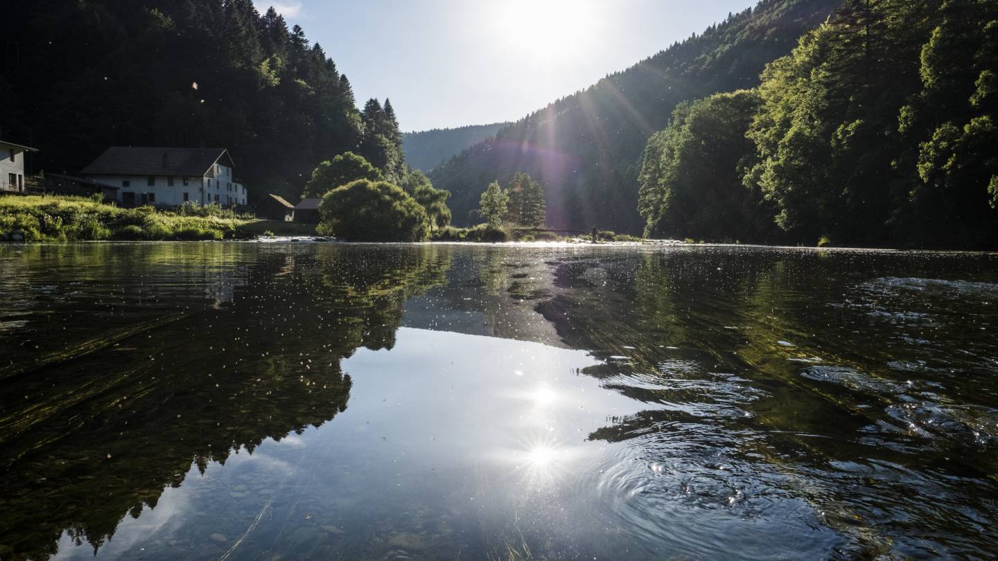 Schweizer Fluss Doubs