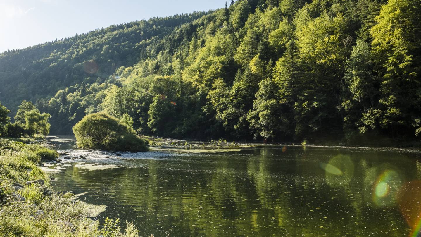 Schweizer Fluss Doubs