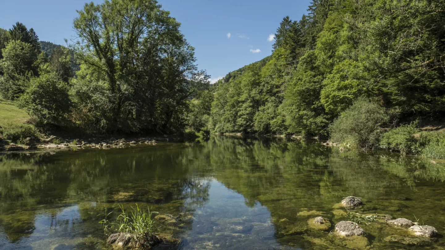 Schweizer Fluss Doubs