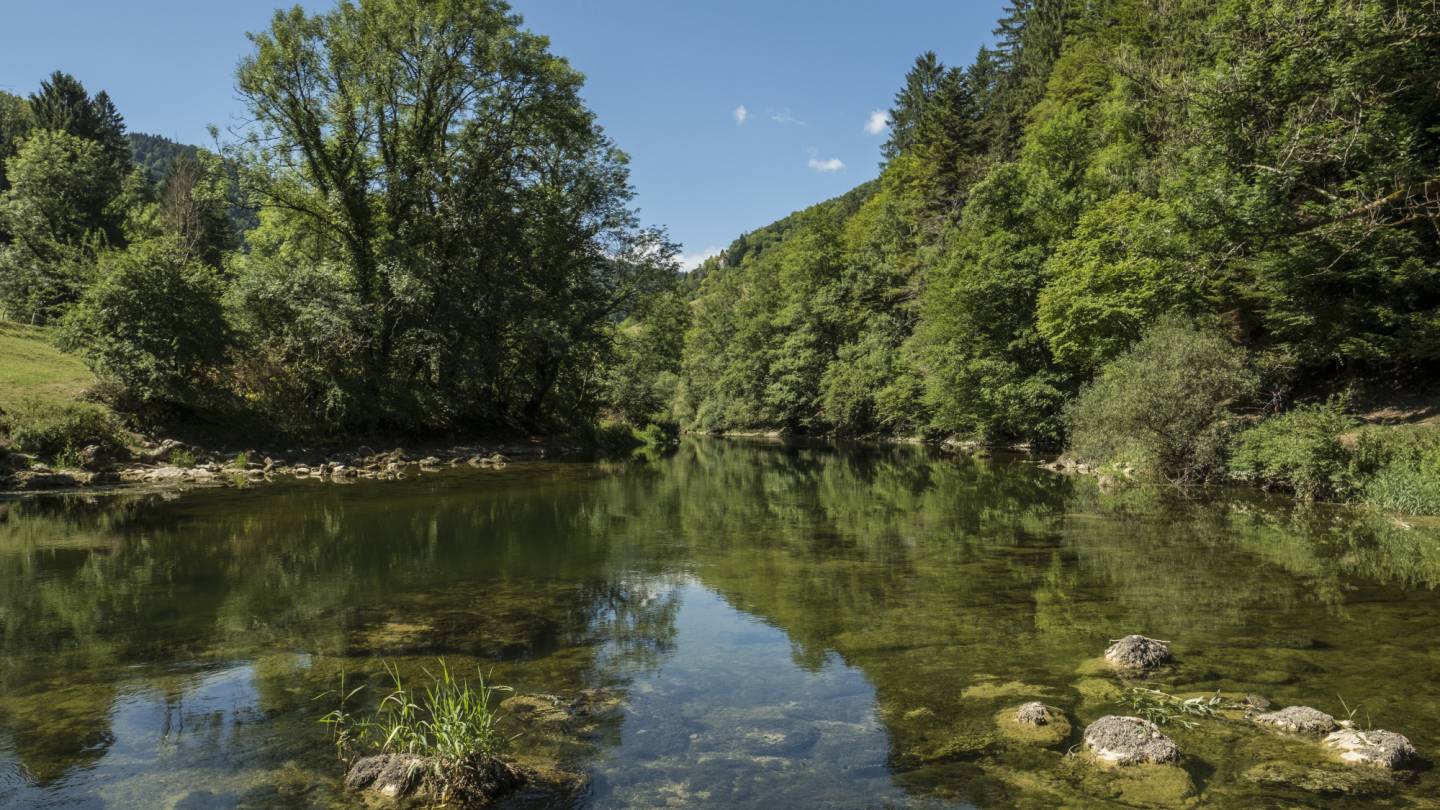 Schweizer Fluss Doubs