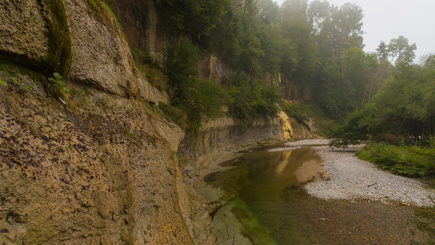 Schweizer Fluss Necker